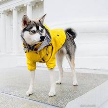 Load image into Gallery viewer, Dog Pet Coat Waterproof Raincoat Jacket for Small Medium Large Dogs
